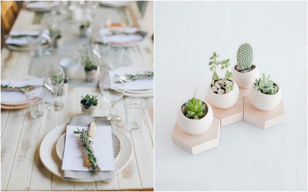 Table succulentes